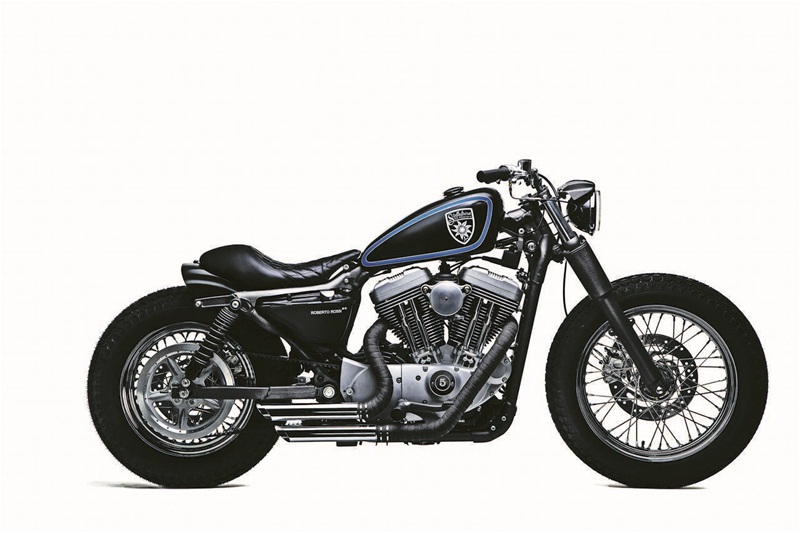 Кастом Harley-Davidson Sportster Stellalpina