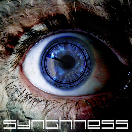 Synthness - New Songs  (2012)