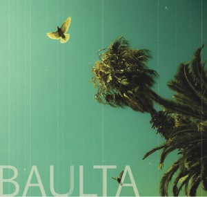 Baulta - Deeply Sorry To Interrupt Your Megalomania (2011)
