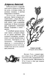 О. Кунаева - Сосуды и давление. Эффективное лечение лекарственными растениями (2012)