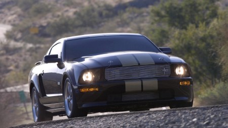     Ford Mustang - 981 