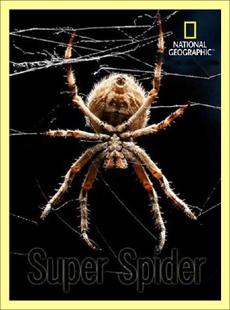 Супер паук / Super Spider (2012) SATRip