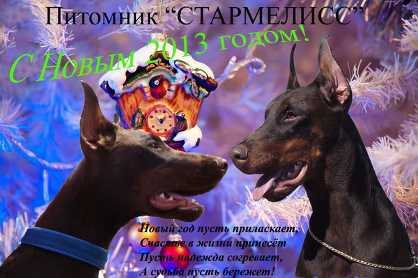 http://i54.fastpic.ru/big/2013/0101/7b/111e3b6ffbb928d00472e93ce683757b.jpg