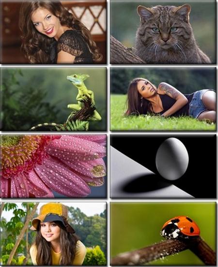 LIFEstyle News MiXture Images. Wallpapers Part (82)