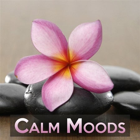 Calm Moods (2012)