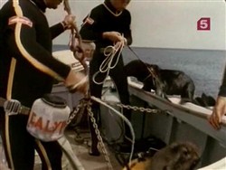 Подводная одиссея команды Кусто: Морские найденыши / Underwater Odyssey of a command of Cousteau (1969 / DVDRip)