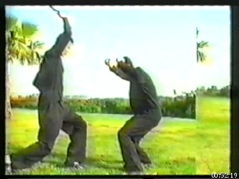 Санаты Занозани Акили (2002) DVDRip
