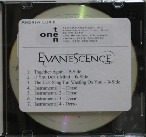Evenescence - If You Don't Mind (B-Side 2013)