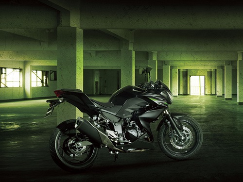 Технические характеристики Kawasaki Z250 2013