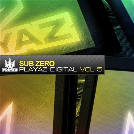 Playaz Digital Vol 5 (2013)