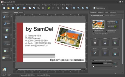 BusinessCards MX 4.81 Portable by SamDel (2013/ENG/RUS)