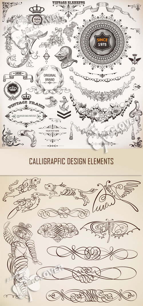 Calligraphic design elements 0376