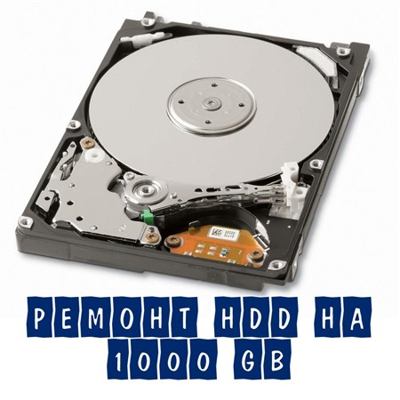  HDD  1000 GB (2012)