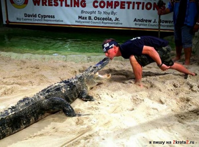 В Мире Животных - Крокодилы