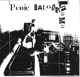 (Electronic, Improvisation) [MC][24/48] Llama - Public Tatoos - 1991, FLAC (tracks+.cue)