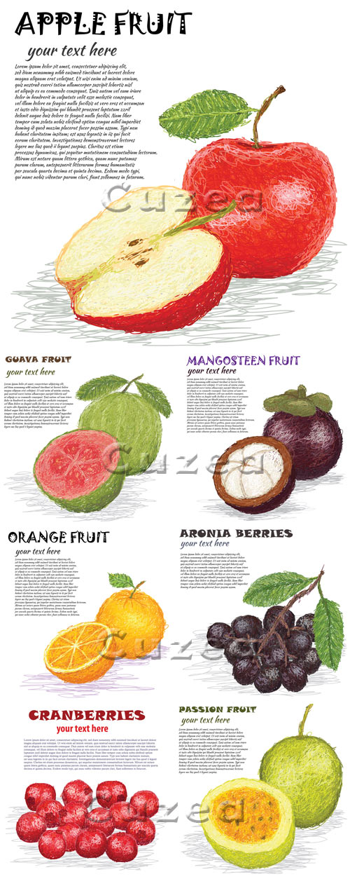     / Backgrounds with fruit in a vector and a place for the text
