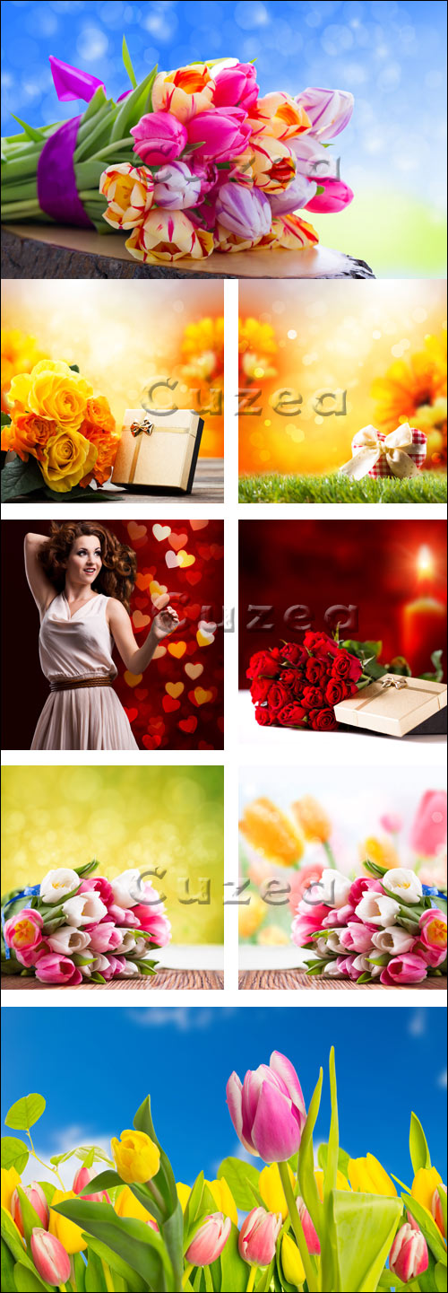   / Flowers for holidays - Stock photo