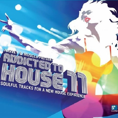 Addicted to House, Vol. 11 (2013)