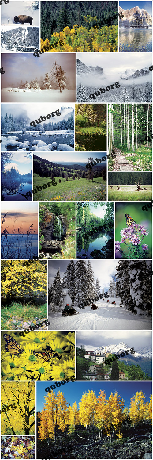 Stock Photos - WT19 - Discover The Four Seasons