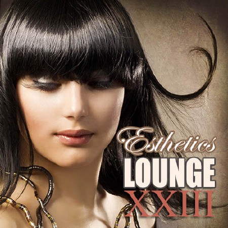 Esthetics Lounge Vol.23 (2013)