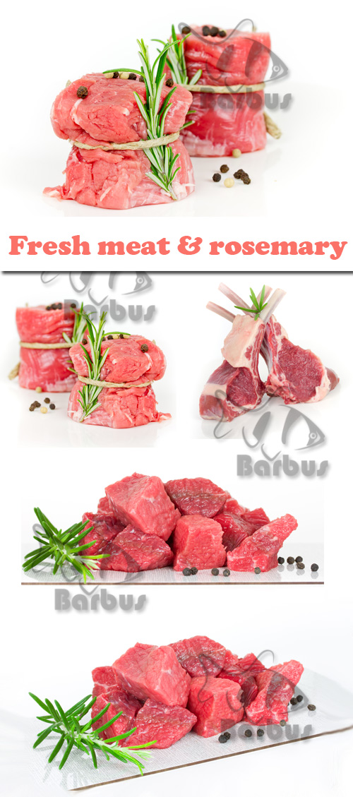 Fresh meat and rosemary /      - Photo stock