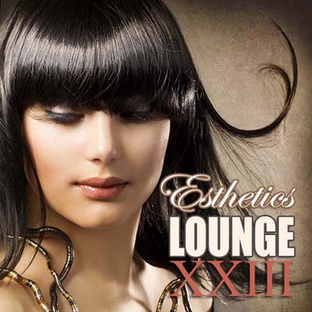 Esthetics Lounge XXIII (2013)