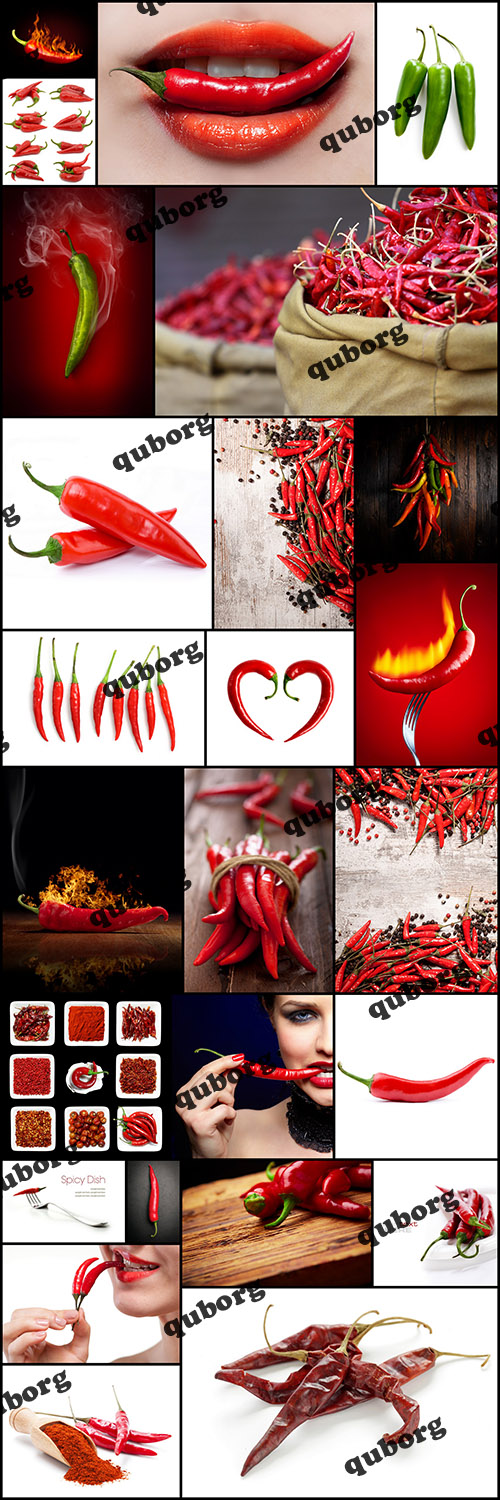 Stock Photos - Chile Peppers