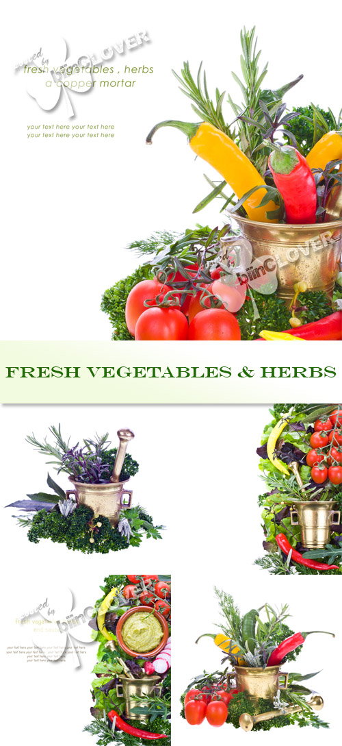 Fresh vegetables and herbs 0402
