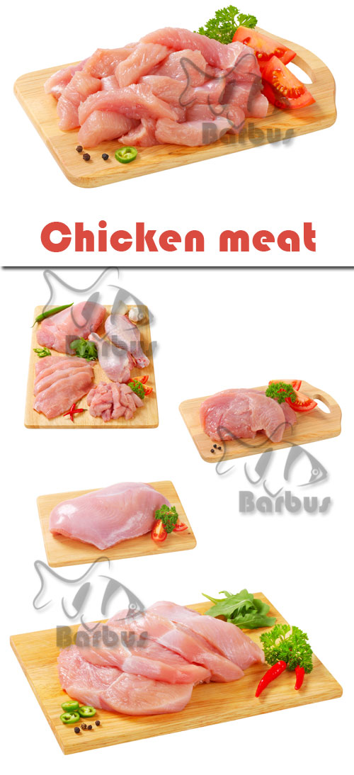 Chicken meat /   - Photo stock