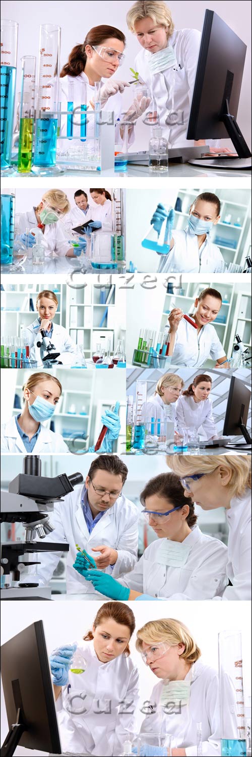    / Experimental working in laboratory - Stock photo