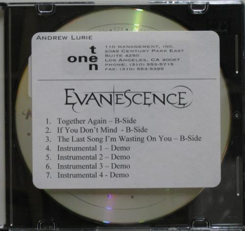 Evanescence - If You Don't Mind (B-Side 2013)